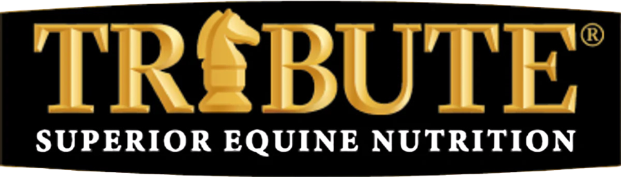 Tribute Superior Equine Nutrition logo with gold lettering and a horse-head chess piece icon.